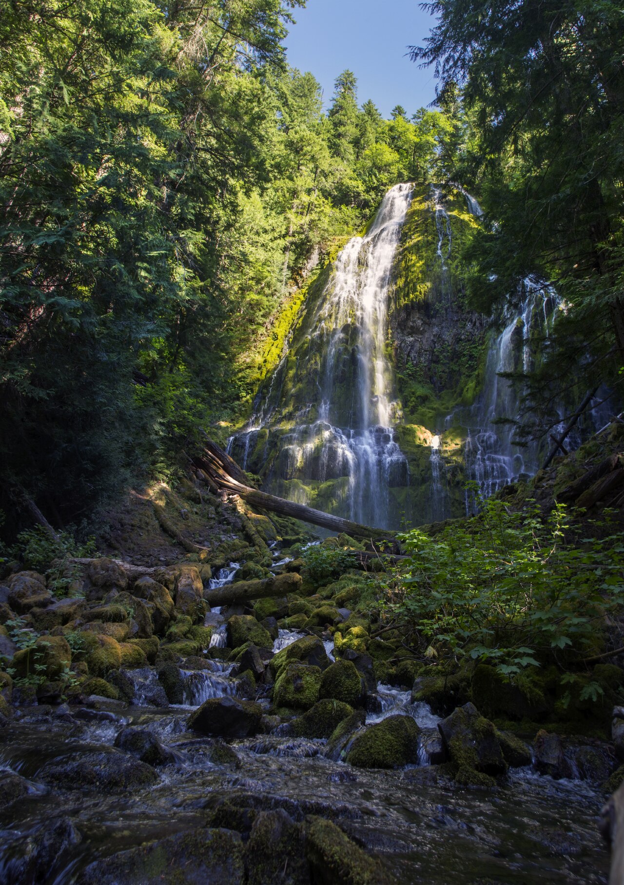 Proxy Falls pouring over a moss-covered wall of columnar basalt in the Three Sisters Wilderness